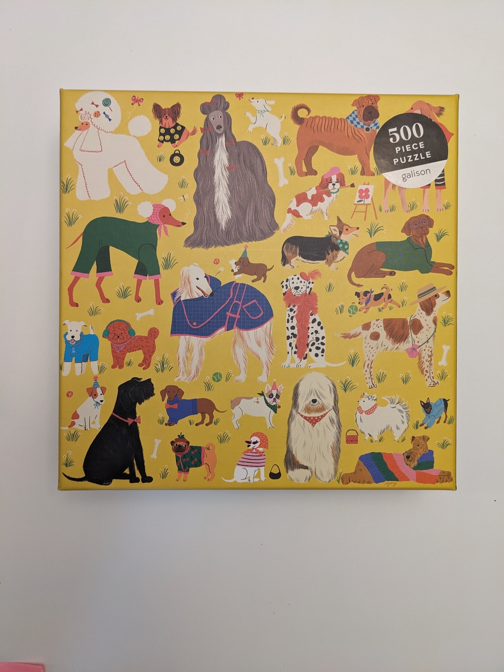 🧩 Fashionable Dogs- 500pcs puzzle 🧩